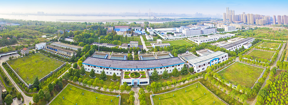 水域经济-武汉城投集团 