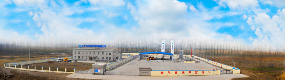 综合能源-武汉城投集团 